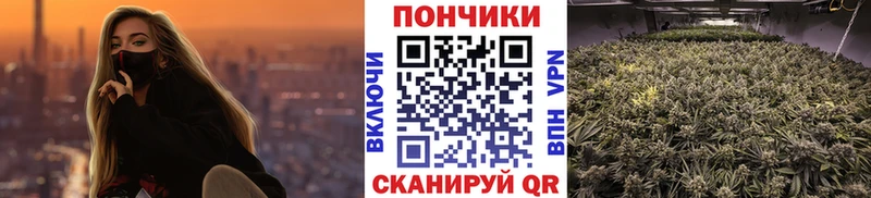 МАРИХУАНА гибрид  Купить где  Кулебаки 